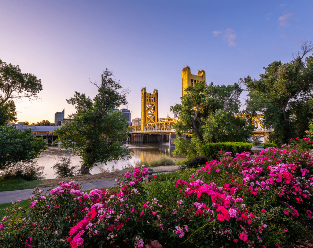 A view of Sacramento's sunrise